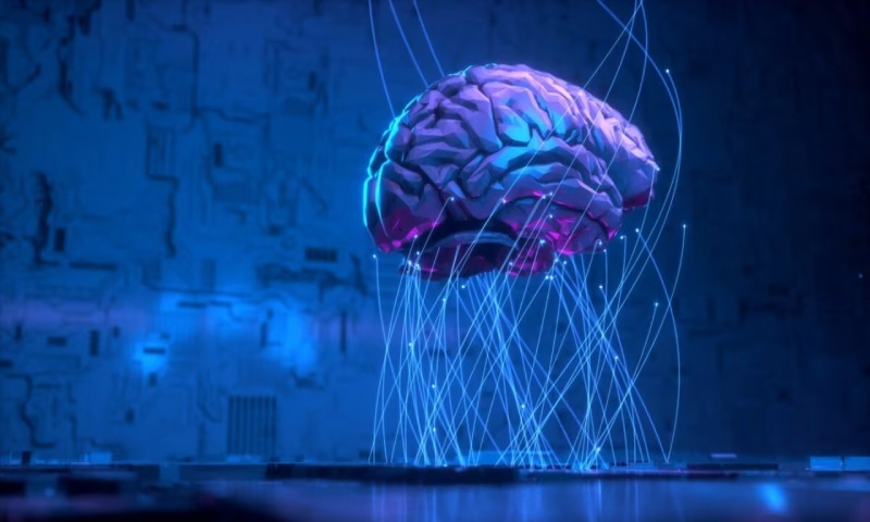 绍兴信创改造:你的开发团队为何必须具备多样性?